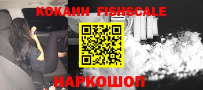 гидропоника Владимир