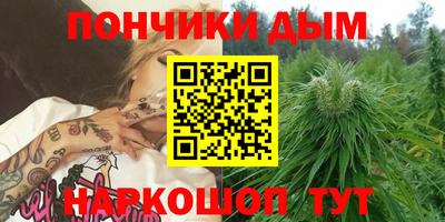 гидропоника Владимир