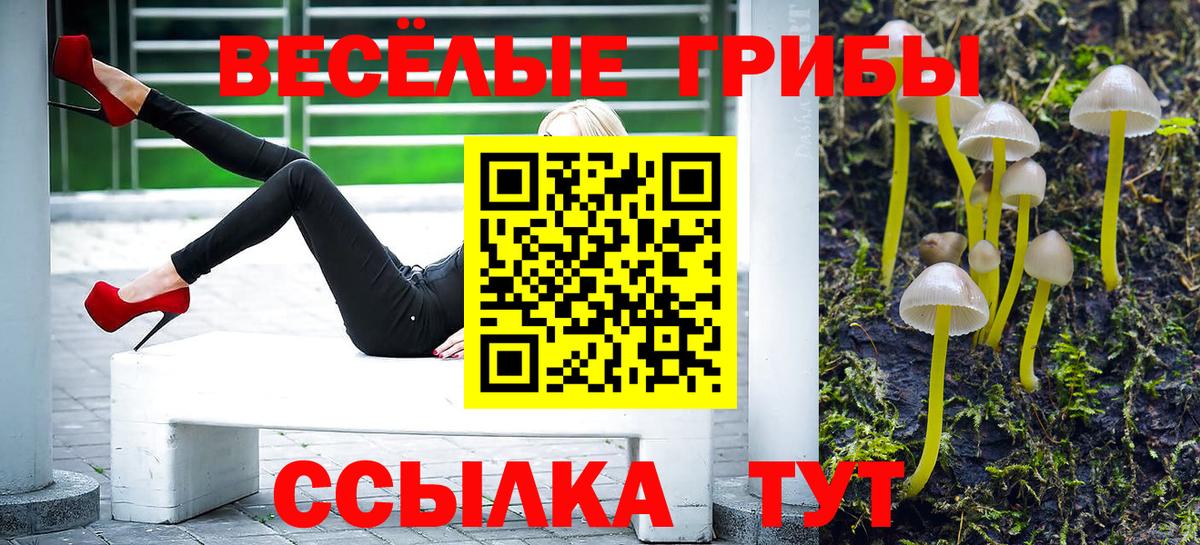 Галлюциногенные грибы GOLDEN TEACHER  Вход с VPN  Ржев 